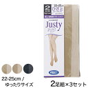 Justy 消臭加工 オーバーニーストッキング 2足組×3セット 22-25cm (10足セット レディース ストッキング オーバーニー ひざ上丈 消臭 まとめ買い セット) (婦人靴下)【在庫限り】