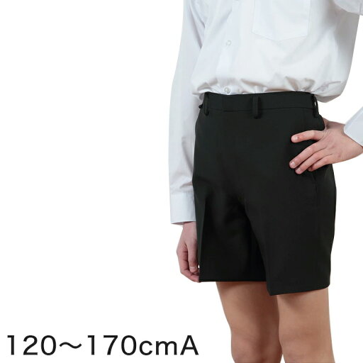学生服 男子小学生 折衿学生服用サマー半ズボン 120cmA〜170cmA 丸洗いOK【取寄せ】 学生服 男子小学生 折衿学生服用サマー半ズボン 120cmA〜170cmA 丸洗いOK【取寄せ】
