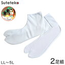 足袋 白 5枚コハゼ 紳士用 2足組 LL~5L (東レ ナイロン たび 和装小物 2足セット 着物 着付け 礼装 冠婚葬祭 結婚式 成人式 舞踊 踊り お稽古 大きいサイズ 文楽)【取寄せ】