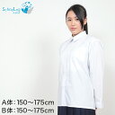 スクールシャツ 女子 カッターシャツ 長袖 150cmA〜175cmB (ワイシャツ ブラウス スクール 学生服 小学生 中学生 高校生 女の子 B体 ゆったり...