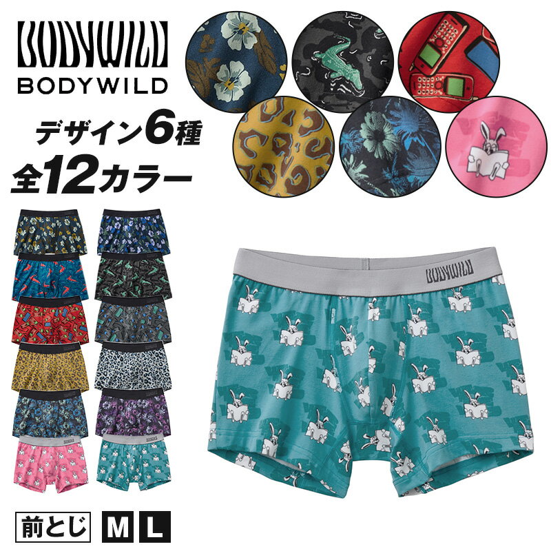 ボディワイルド ブリーフ グンゼ インナーウェア グンゼ BODYWILD ボクサーパンツ ブリーフ メンズ パンツ ボディワイルド M・L (GUNZE 男 紳士 ボクサー 下着 肌着 インナーウェアー ストレッチ 綿混)