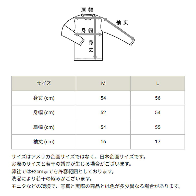 Champion レディース クルーネック Tシャツ 短め M・L チャンピオン tシャツ 半袖 ...
