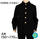 学生服 男子小学生 折衿学生服上衣A体(150-170) 150cmA〜170cmA 丸洗いOK (送料無料)【取寄せ】