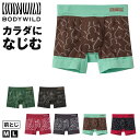 ボディワイルド 成型 ボクサーパンツ メンズ 前閉じ グンゼ M L 男性用 下着 インナー ボクサー アンダーウェア シンプル 快適 フィット ストレッチ ブ...