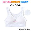 ジュニア ハーフトップ ファーストブラ 女子 メッシュ 下着 白 choop 150cm〜165cm (綿混 パッド 小学生 中学生 女の子 インナー 子供 ファーストブラジャー キッズ シュープ 150 160 165)【在庫限り】