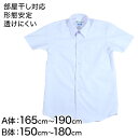 カンコー学生服 形態安定 男子 半袖カッターシャツ 165cmA～180cmB (半袖シャツ 形態安定シャツ スクールシャツ 男子 男の子 学生 カンコー kanko 大きいサイズ)【取寄せ】