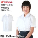 カンコー学生服 形態安定 女子 丸衿半袖ブラウス 150cmB～170cmB (小学生 制服 小学校 スクールシャツ B体 大きめ 大きいサイズ)【取寄せ】