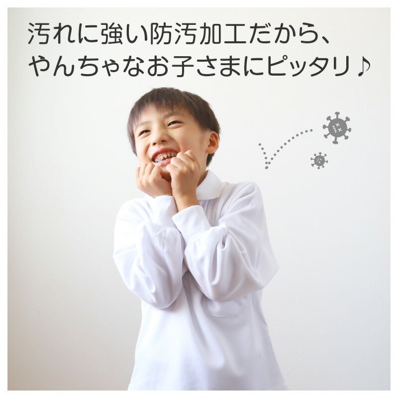 �ݥ������ Ĺµ ���å� �������� �Ҷ� ������ ���� �������륷��� ��������ݥ������ 100 110 120 130 140 150 160 170 180 cm ���ع� �ˤλ� ���λ� �� �礭�������� ������ �̳��� �˻� ���� �ع� �������� �����ݥ������ �̳��� �˽�����