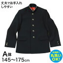 学生服 詰衿上衣 ソフトラウンドカラー ストリード 145cmA~175cmA ( 制服 学校 学生 中学生 高校生) (送料無料)【取寄せ】