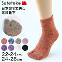 Suteteko { wl V[g ܌C 22-24cmE24-26cm (C  { RۖhL z v)