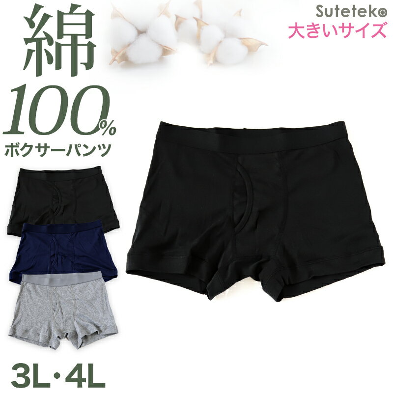 ボクサーパンツ メンズ パンツ 下着 ボクサーブリーフ(前開き) 3L・4L (大きいサイズ ボクサー パンツ 男性 紳士 下着 インナー 抗菌防臭 肌着 前あき) (送料無料)