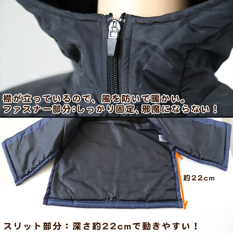 FILA �٥�������� ���å� ����˥� ΢�ܥ� ΢���� 130��160cm �Ҷ� �������� ������ �Ҷ��� ���� �ˤλ� ���λ� �Ҥɤ� �ա����դ� ���å��� ���ݡ��� �ݲ� �ɴ� �Ȥ��� �ɴ��� 130 140 150 160 �ե��� (����̵��)�ں߸˸¤��