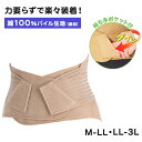 セルヴァン 固定ベルト 男女兼用 腰 コルセット 綿100% M〜LL・LL〜3L (男女兼用 腰痛 リハビリ 介護 ぎっくり腰 サポーター) (送料無料) (...