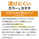 アツギ ジュニアブラ 子供 ブラジャー ソフトワイヤー 透けにくい A65～C75 (キッズ ジュニア 女の子 中学生 綿 下着 インナー 女子 ファーストブラ ハイジュニ)【取寄せ】【取寄せ】 3