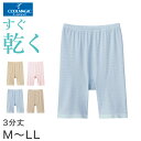 グンゼ レディース 3分丈 ボトム 部屋干し インナー M〜LL (ハーフボトム ズボン下 アンダーウェア 下着 肌着 夏 速乾)(4)