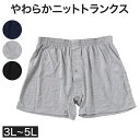 ニットトランクス トランクス メンズ パンツ 無地 3l 4l 5l 大きいサイズ 3L〜5L (前あき 下着 パンツ シンプル トランクスニット 紳士下着 紳...