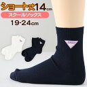 靴下 キッズ 女の子 子供 小学生 ショートソックス スクールソックス 女子 ワンポイント 19-24cm 白 紺 女児 くつ下 子ども ジュニア ブランド アナップ ANAP【在庫限り】