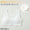 ハーフトップ ハーフブラ カップ付き 女の子 140cm~165cm 小学生 中学生 ジュニアブラ ファーストブラ モールドカップ カップ入り インナー 肌着 スクール 学生 伸びる 白