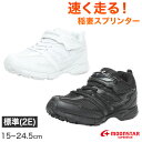スニーカー 外履き スクールシューズ 白 黒 グランドシューズ 靴 通学履き 運動靴 子供靴 通学 15cm〜24.5cm moonstar ムーンスター 小学...