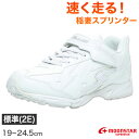 スニーカー 外履き スクールシューズ グランドシューズ 靴 通学履き 運動靴 子供靴 通学 19cm〜24.5cm moonstar ムーンスター スーパースタ...