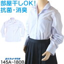 中学生 高校生 蛍光白 TioTio 長袖 開襟 ブラウス スクールブラウス 145A~180B 富士ヨット スクールシャツ 通学 女の子 女子 学生 145 150 155 160 165 170 175
