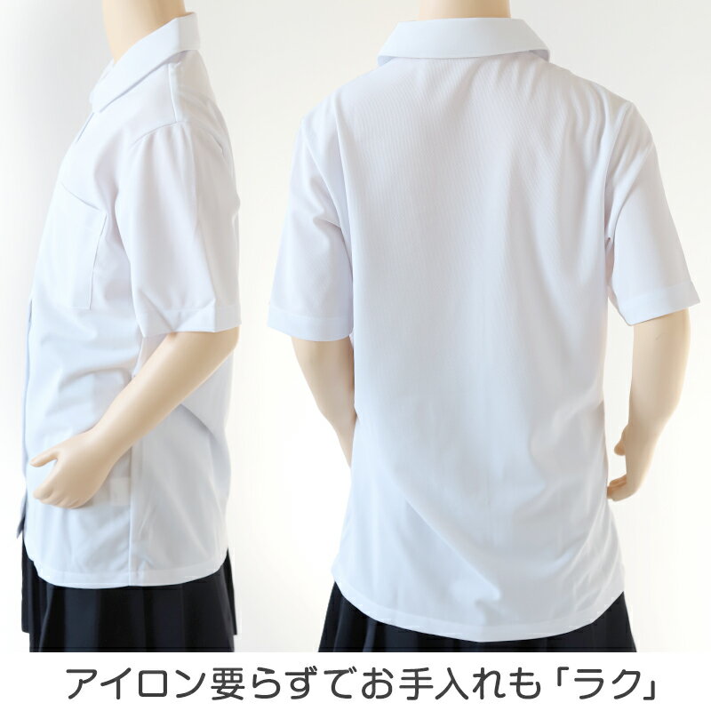 中学生 高校生 ニット 半袖 丸襟 ブラウス スクールブラウス 145A〜180B 富士ヨット スクールシャツ 通学 女の子 女子 学生 150 155 160 165 170 175 (送料無料)