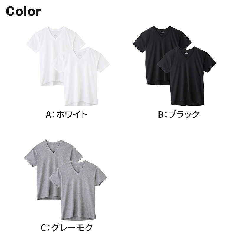 グンゼ vネック tシャツ ボディワイルド 綿...の紹介画像3