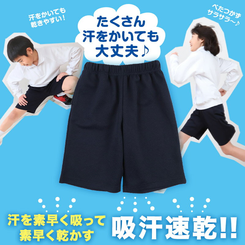 ������ �ϡ��եѥ�� ������ û�ѥ� Ⱦ���ܥ� ���ع� ������ 110��160cm ���ॺ�ܥ� �˻� ���� �������� �ΰ� �Ҷ� �Ҥɤ� ���å� �ع� (����̵��)