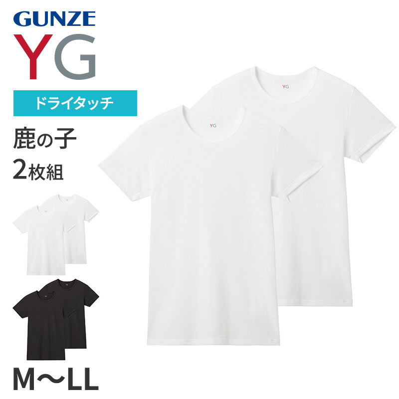 グンゼ YG tシャツ メンズ 半袖 クルーネック 鹿の子 抗菌 防臭 2枚組 M L LL 吸汗速乾 丸首 GUNZE インナーシャツ 男性 紳士 下着 肌着...