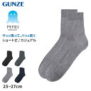 アセドロン ソックス メンズ ショート 丈 靴下 グンゼ 25 26 27 cm カジュアルソックス ショートソックス 吸汗速乾 消臭 黒 紺 灰 GUNZE ...
