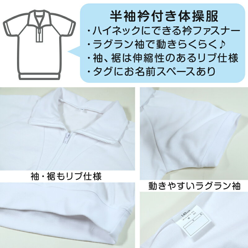 体操服 半袖 ドライ 衿付き 体操着 小学生 110〜160cm (襟付き 白 小学校 女の子 男の子 速乾 子供 綿混 半そで キッズ 夏)【在庫限り】