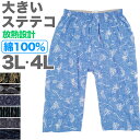 ステテコ メンズ 綿100% 夏 大きいサイズ 3L 4L クレープ 前開き 涼しい パジャマ ズボン 部屋着 ルームウェア パンツ ズボン下 M〜LL すてて...