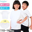 体操服 半袖 体操着 小学校 小学生 白 男子 女子 110〜160cm 半そで 女の子 男の子 速乾 子供 キッズ 綿 運動着 体育 110 120 130 140 150 160 (送料無料)【在庫限り】