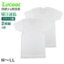 tシャツ u首 シャツ メンズ 半袖 2枚組 吸汗速乾 M L LL uネック フライス 肌着 下着 インナー 綿混 無地 ホワイト 白 プレゼント ギフト 父の日 敬老の日(4)