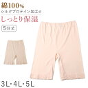 レディース インナー 5分丈 ハーフ ボトム スラックス下 ズボン下 ボトムス 大きいサイズ 3L 4L 5L 綿100 コットン シルク レギンス スパッツ 婦人肌着 下着 肌着 レース