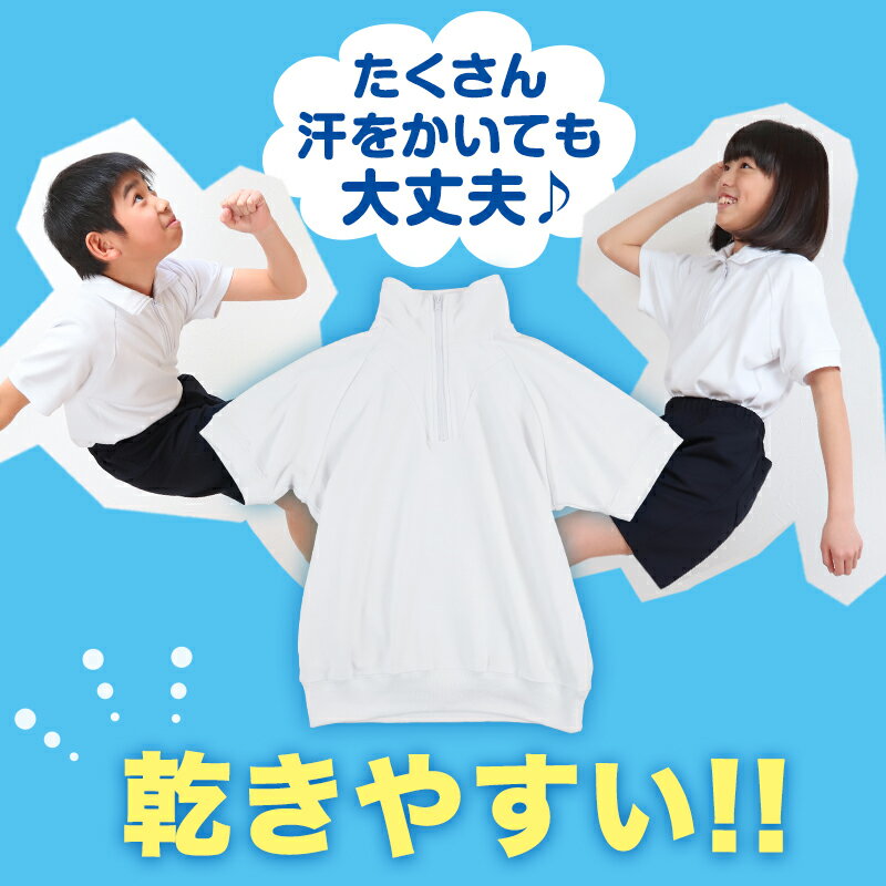 体操服 半袖 大きいサイズ 襟付き 体操着 S〜3L ゆったり 半そで 160 170 男子 女子 白 小学生 小学校 中学生 女の子 男の子 ファスナー 衿 速乾 子供 綿【在庫限り】