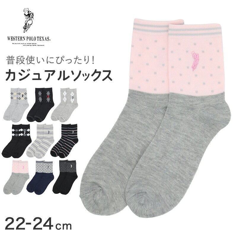 靴下 レディース クルーソックス POLO polo 22〜24cm 快適 靴下 カラフル オールシーズン おしゃれ く..