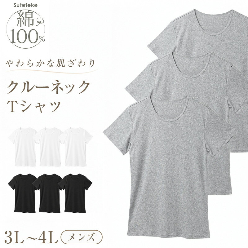 樂天商城 - Suteteko メンズ 綿100％ クルーネック Tシャツ 大きいサイズ 3枚セット 3L 4L 下着 男性 紳士 肌着 インナーシャツ 丸首 薄手 抗菌 防臭 白 黒 グレー コットン COTTON％ スーツ下 ビジネス ビジネスインナー オールシーズン 3枚組 まとめ売り
