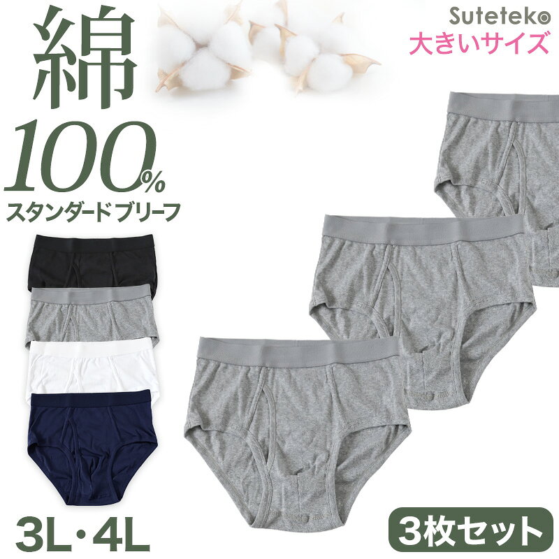 乐天商城 - ブリーフ メンズ パンツ 綿100% スタンダード 前開き 3枚セット 3L 4L 大きいサイズ インナー ブリーフパンツ 下着 肌着 紳士肌着 男性 紳士 パンツ 綿100％ コットン 3枚組 まとめ売り
