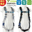 【あす楽 即納】安全帯 タイタン TITAN サンコー フルハーネス 新規格 墜落制止用器具 PANGAEA CANYON キャニオン PACN-10A 単体 背中X型 V字 腿ベルト フルハーネス安全帯 ハーネス 一般 高所作業 柱上作業 建設工事 軽量 簡単着脱