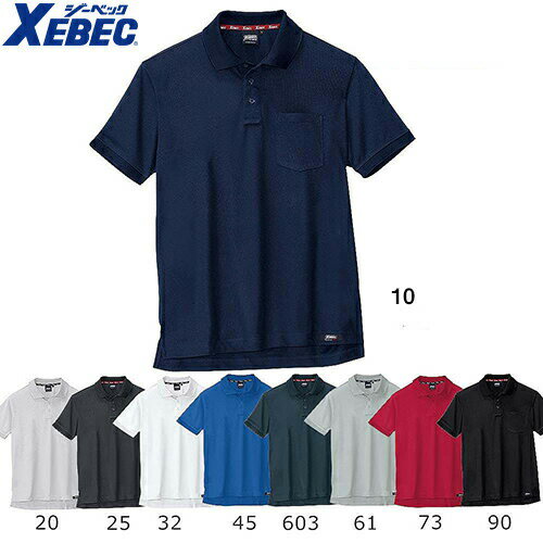 ٥å Ⱦµݥ  ǯ  ǥ ȥå ۴ ® å ̵ ʤ Ǻ ϥ֥åȾµݥ Ⱦµ...