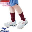 【メール便対応】ミズノ MIZUNO ソックス 靴下 発熱素材 ブレスサーモ ウールウインターソックス メンズ レディース 男女兼用 B2JX2520 レッド ...
