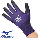 w ~Ym MIZUNO [NOu ^CLEo[^Cv F3JGD80109 VRS