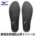 【メール便対応】インソール ミズノ MIZUNO 静電気帯電防止用インソール F1GU220105 中敷