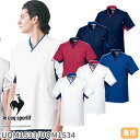 ユニセックス Vネック スクラブ 医療 白衣 UQM1533 UQM1534 男女兼用 ルコックスポルティフ ナース服 半袖 医療用 病院 看護師 医者 研修医...