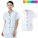 白衣 調理白衣 制服 ユニフォーム KAZEN カゼン 女子調理衣 半袖 APK1355 飲食店 女性用 レディース 厨房服 調理服 寿司屋 和食店 割烹 料亭 中華 居酒屋 おしゃれ かわいい 制菌 吸汗 快適