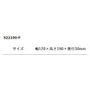 暑さ対策 藤原産業 SK11 保冷剤Neo 522100-F 夏用 涼しい 2