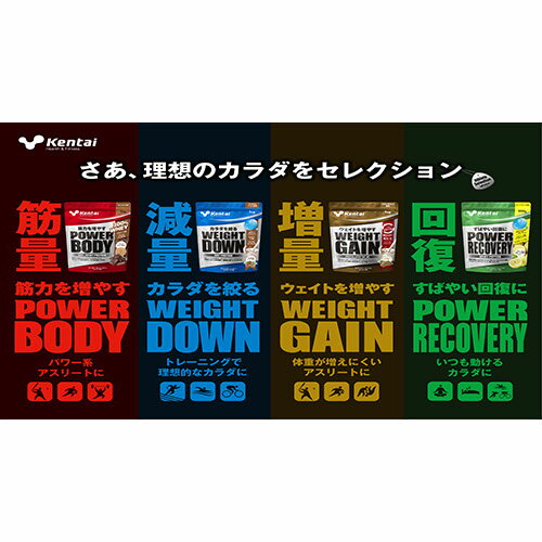 サプリメント 健康食品 Kentai ケンタイ ウェイトダウン ソイプロテイン K1140 栄養補助食品 プロテイン 3