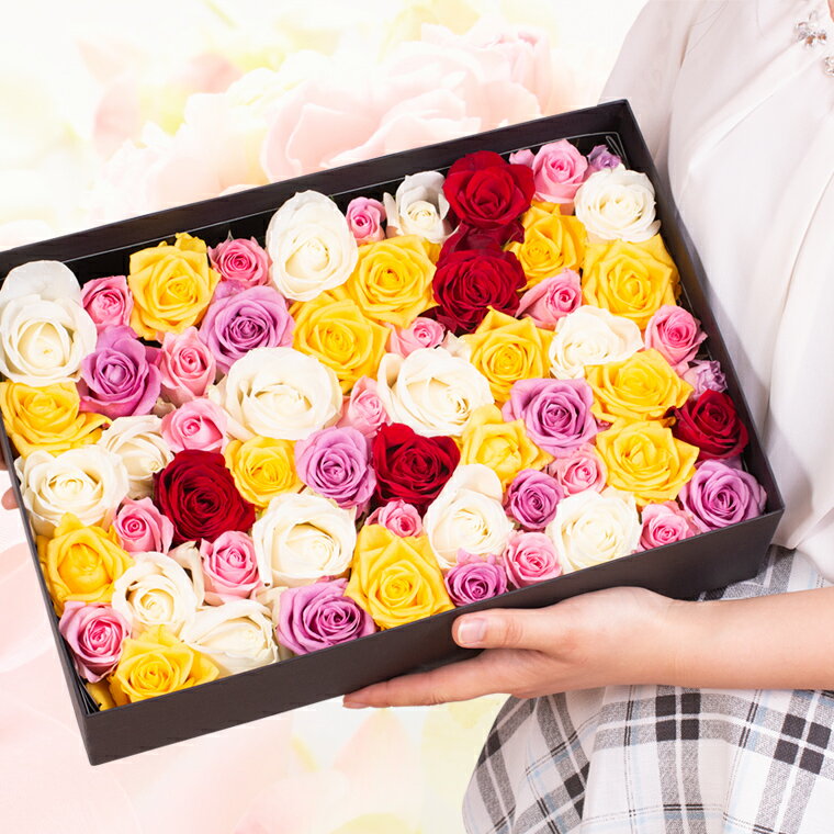 バラ風呂 ローズバス 65輪-80輪 あす楽対応で12時まで当日発送します 土曜営業 誕生日 結婚記念日 クリスマス 成人式 バレンタイン 本数指定格安通販　バレンタイン　人気　ランキング