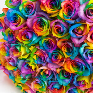 本数を選べるレインボーローズ花束◇誕生日やお祝い、記念日に年齢分の本数でプレゼント 薔薇 ばら バラ花束 フラワーギフト プレゼント 花 クラシックバレエ